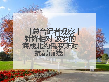 总台记者观察丨针锋相对 波罗的海成北约俄罗斯对抗最前线