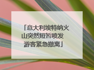 意大利埃特纳火山突然短暂喷发 游客紧急撤离