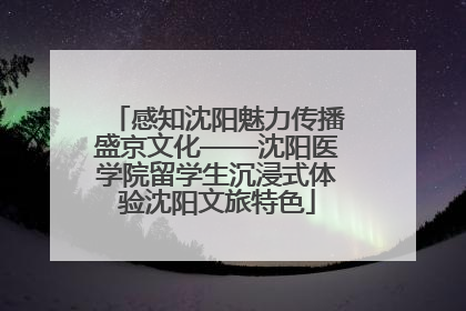 感知沈阳魅力传播盛京文化——沈阳医学院留学生沉浸式体验沈阳文旅特色