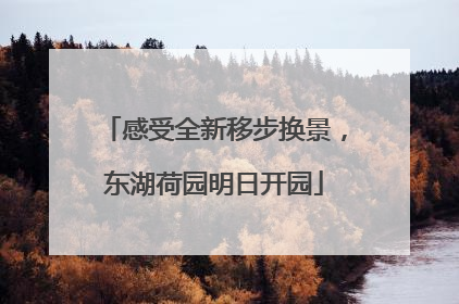 感受全新移步换景，东湖荷园明日开园
