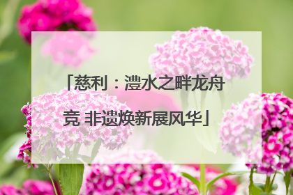 慈利：澧水之畔龙舟竞 非遗焕新展风华