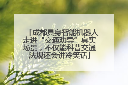 成都具身智能机器人走进“交通劝导”真实场景，不仅能科普交通法规还会讲冷笑话