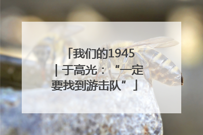 我们的1945｜于高光：“一定要找到游击队”