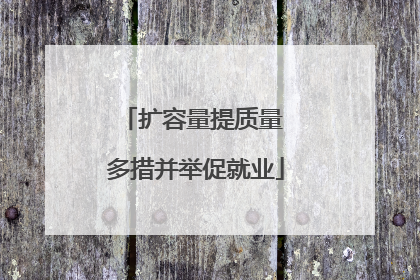扩容量提质量 多措并举促就业