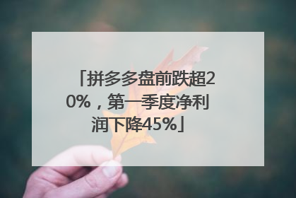 拼多多盘前跌超20%，第一季度净利润下降45%