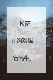 拉萨：山沟欢腾赛牦牛
