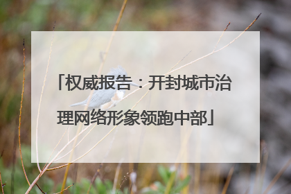 权威报告：开封城市治理网络形象领跑中部