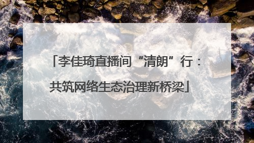 李佳琦直播间“清朗”行：共筑网络生态治理新桥梁