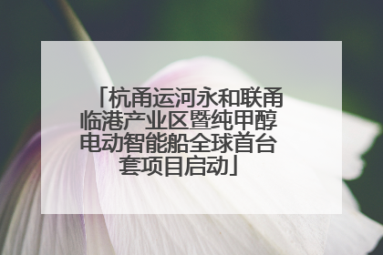 杭甬运河永和联甬临港产业区暨纯甲醇电动智能船全球首台套项目启动