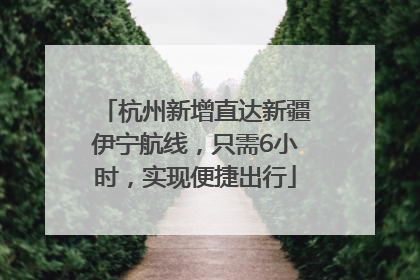 杭州新增直达新疆伊宁航线，只需6小时，实现便捷出行