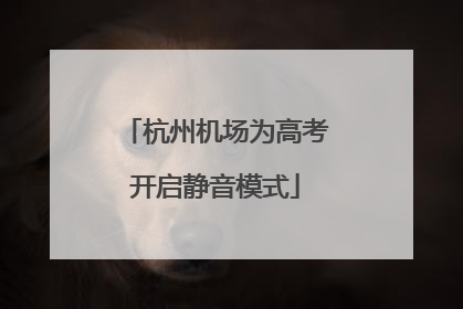 杭州机场为高考开启静音模式