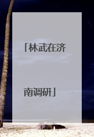 林武在济南调研