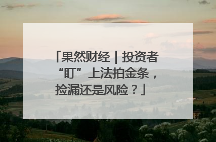 果然财经｜投资者“盯”上法拍金条，捡漏还是风险？