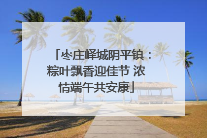 枣庄峄城阴平镇：粽叶飘香迎佳节 浓情端午共安康