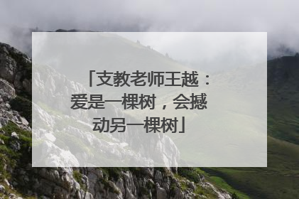 支教老师王越：爱是一棵树，会撼动另一棵树