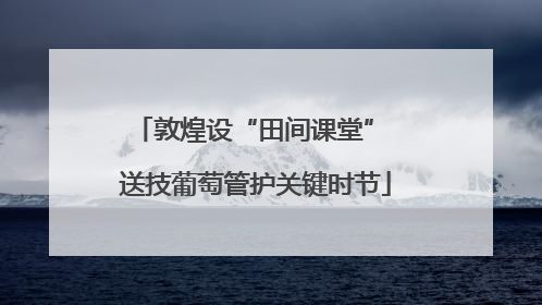 敦煌设“田间课堂” 送技葡萄管护关键时节