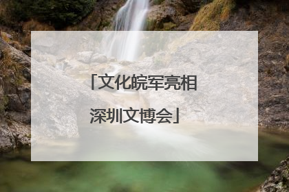 文化皖军亮相深圳文博会