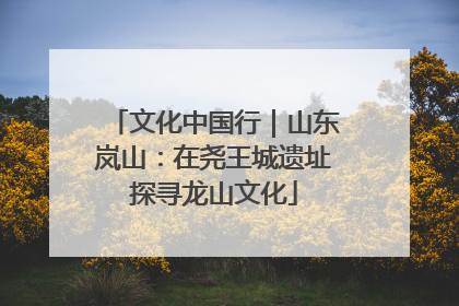 文化中国行｜山东岚山：在尧王城遗址探寻龙山文化