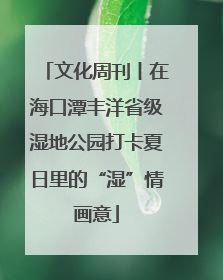 文化周刊丨在海口潭丰洋省级湿地公园打卡夏日里的“湿”情画意