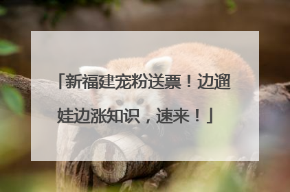 新福建宠粉送票！边遛娃边涨知识，速来！