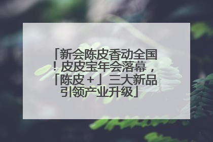 新会陈皮香动全国！皮皮宝年会落幕，「陈皮＋」三大新品引领产业升级