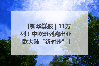 新华鲜报｜11万列！中欧班列跑出亚欧大陆“新时速”