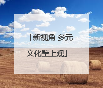 新视角 多元文化壁上观