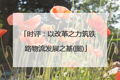 时评：以改革之力筑铁路物流发展之基(图)