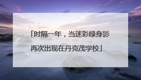 时隔一年，当迷彩绿身影再次出现在丹克茂学校
