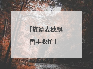 旌德麦穗飘香丰收忙