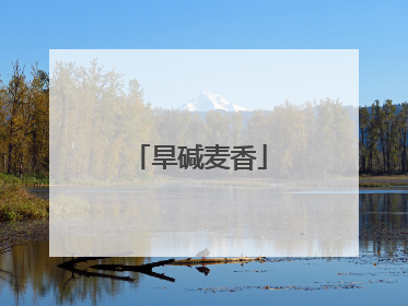 旱碱麦香