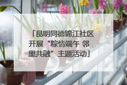 昆明同德锦江社区开展“粽情端午 邻里共融”主题活动
