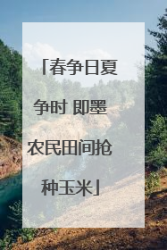 春争日夏争时 即墨农民田间抢种玉米