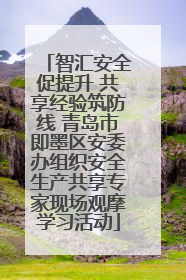 智汇安全促提升 共享经验筑防线 青岛市即墨区安委办组织安全生产共享专家现场观摩学习活动