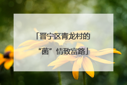 晋宁区青龙村的“菌”情致富路