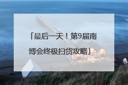 最后一天！第9届南博会终极扫货攻略