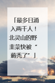 最多日涌入两千人！北灵山的野韭菜快被“薅秃了”