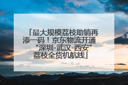最大规模荔枝助销再添一码！京东物流开通“深圳-武汉-西安” 荔枝全货机航线