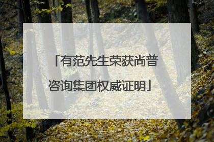 有范先生荣获尚普咨询集团权威证明