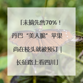 未摘先售70%！丹巴“美人脆”苹果尚在枝头就被预订｜长征路上看四川