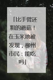 比手臂还粗的蘑菇！在玉米地被发现，柳州市民：能吃吗