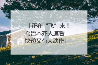 正在“飞”来！乌鲁木齐人速看 快递又有大动作