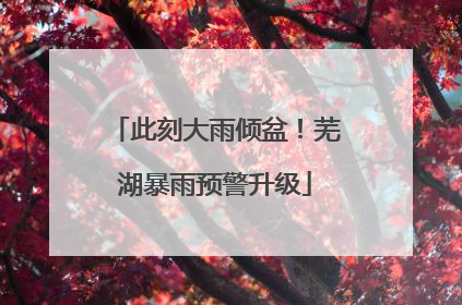 此刻大雨倾盆！芜湖暴雨预警升级