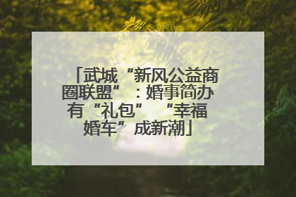 武城“新风公益商圈联盟”：婚事简办有“礼包” “幸福婚车”成新潮