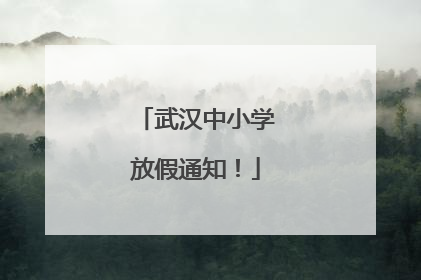武汉中小学放假通知！