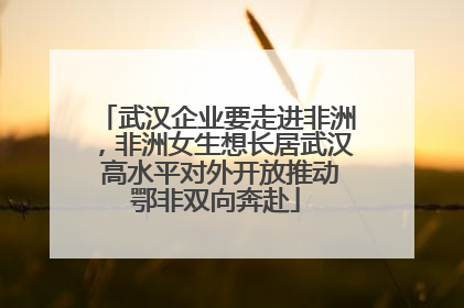 武汉企业要走进非洲，非洲女生想长居武汉 高水平对外开放推动鄂非双向奔赴