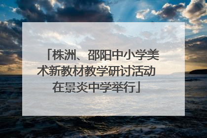 株洲、邵阳中小学美术新教材教学研讨活动在景炎中学举行