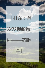 桂东：首次发现新物种——宽距兰