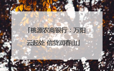 桃源农商银行：万阳云起处 信贷润春山