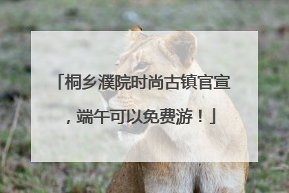 桐乡濮院时尚古镇官宣，端午可以免费游！